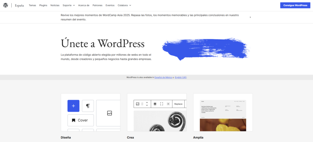 Cómo Crear un Sitio Web Profesional con wordpress